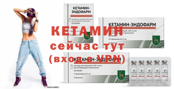a pvp Бородино
