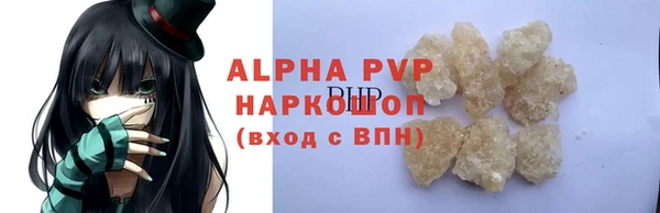 a pvp Бородино