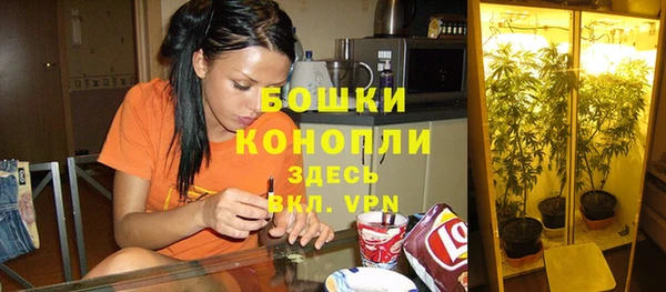 прущие крисы Верхний Тагил