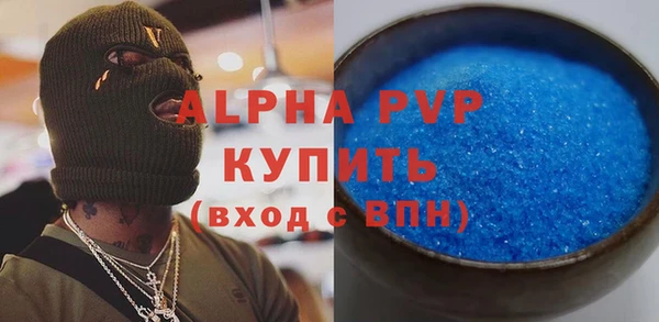 a pvp Бородино