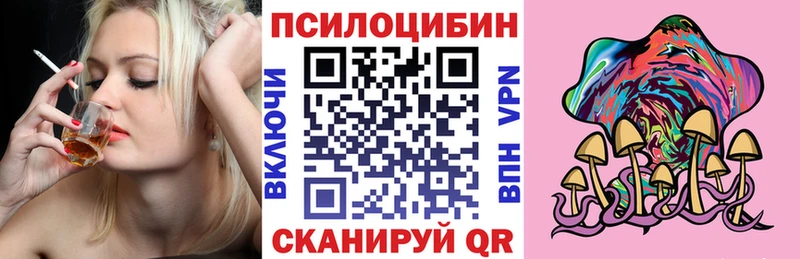 Купить где  Ладушкин  Галлюциногенные грибы MAGIC MUSHROOMS 